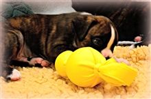 5 weeks